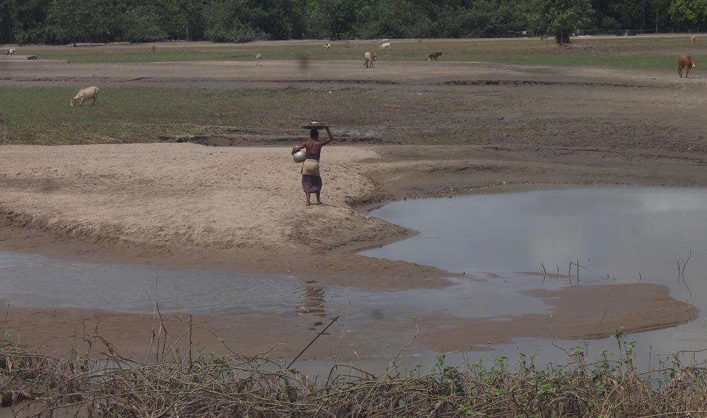 Devastation by NEEPCO run Ranganadi dam water release Devastation by NEEPCO run Ranganadi dam water release