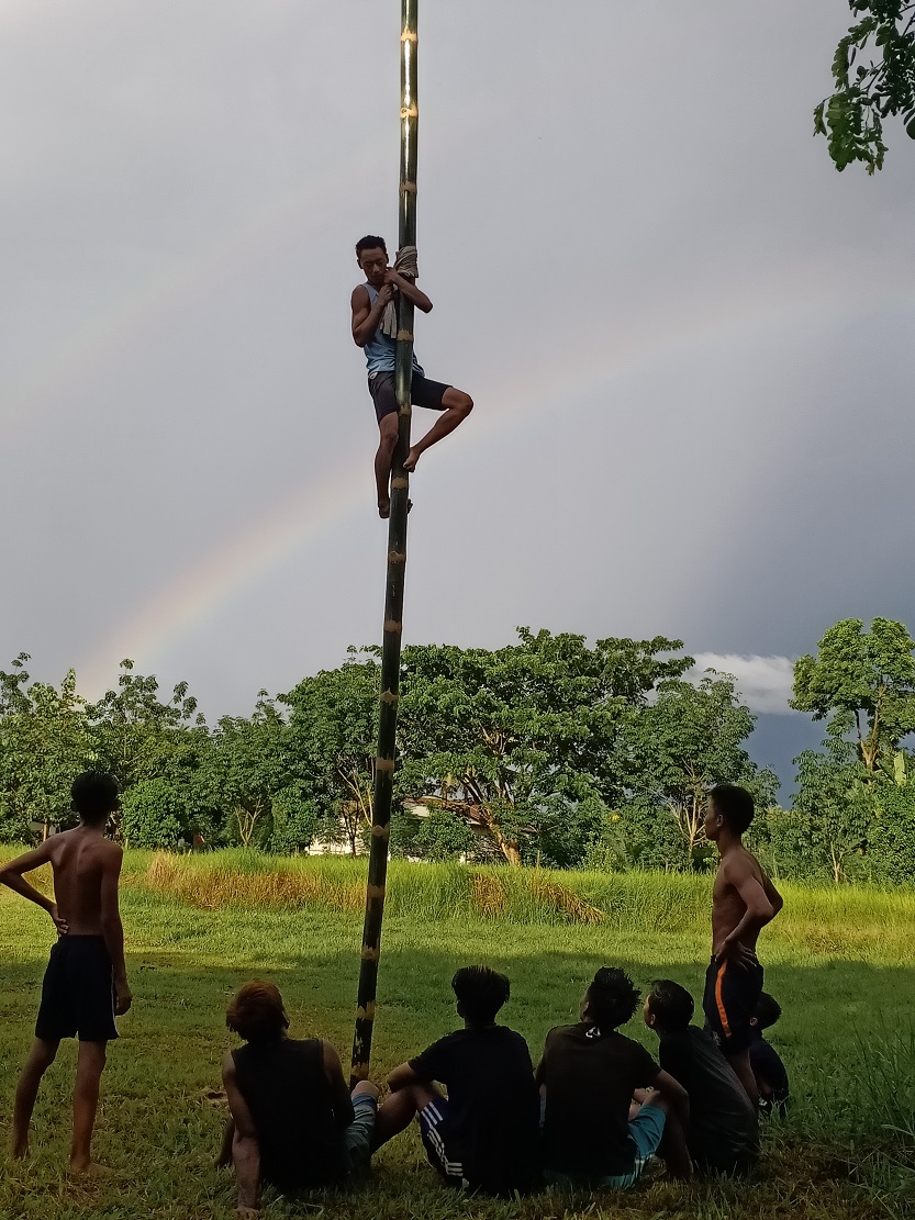 Open Oiled Bamboo Climbing competition