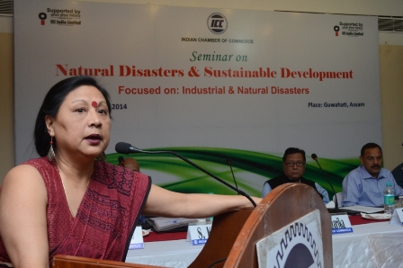 Nandita Hazarika Deputy Secretary Assam State Disaster Management Authority during the ICC seminar on Natural Disaster & Sustainable Development in Guwahati, Saturday.