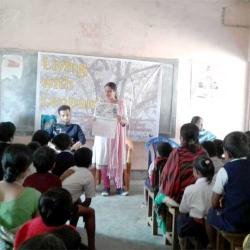 Assam Leopards: Habitat Loss Fuels Conflict, Community Program Pushes Coexistence