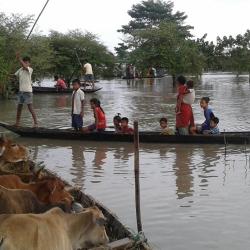People moving to  highland at Naryanpur,  Lakhimpur on Monday. Photo by UB Photos.