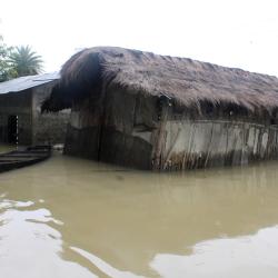 Flood affected Dibru-Saikhowa National Park