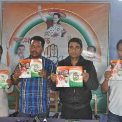Dima Hasao Congress manifesto released