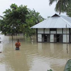 Jhanjimukh village, Teok. Pix © by UB Photos