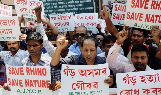 protest against rhino poaching