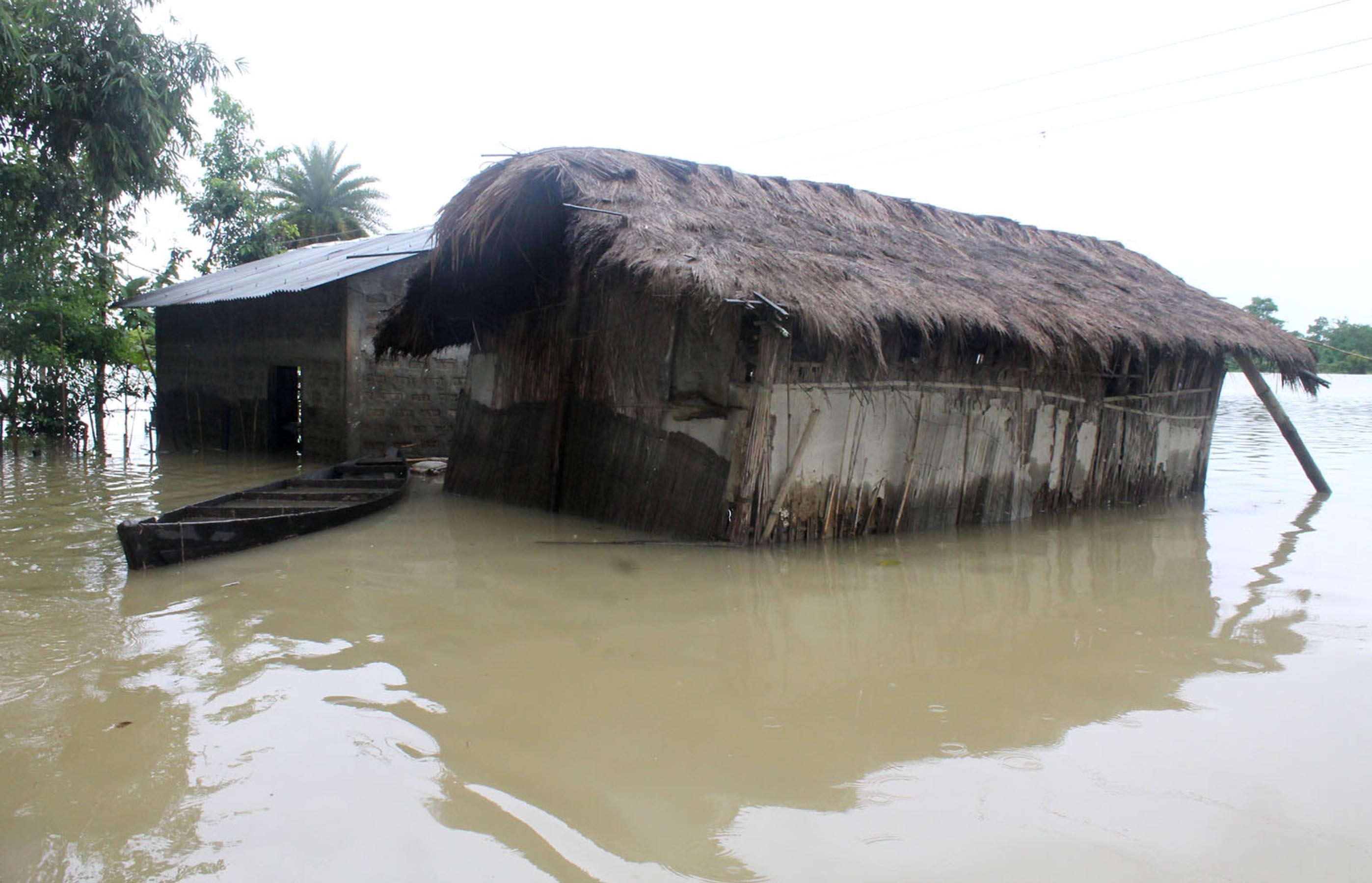 Flood affected Dibru-Saikhowa National Park