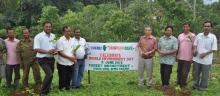 Forest Officials on World Environment Day planting seedlings