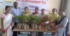 Environment Day at Nazira