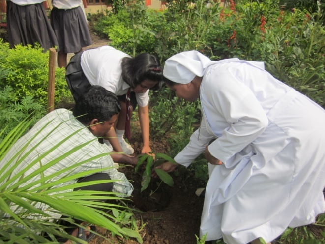 WWF-India plants trees on WED