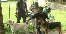 World Zoonosis Day at Barpeta