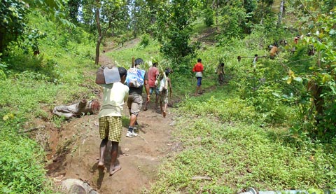 Plantation on Global Tiger Day
