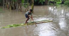 Flood wreaks havoc in Kaziranga