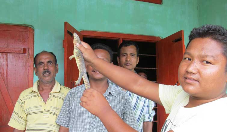Farmer rescues endangered lizard at Udalguri