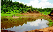 Water Management in North East India