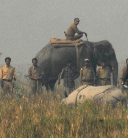 First phase of IRV 2020 a great success, says PCCF, Assam