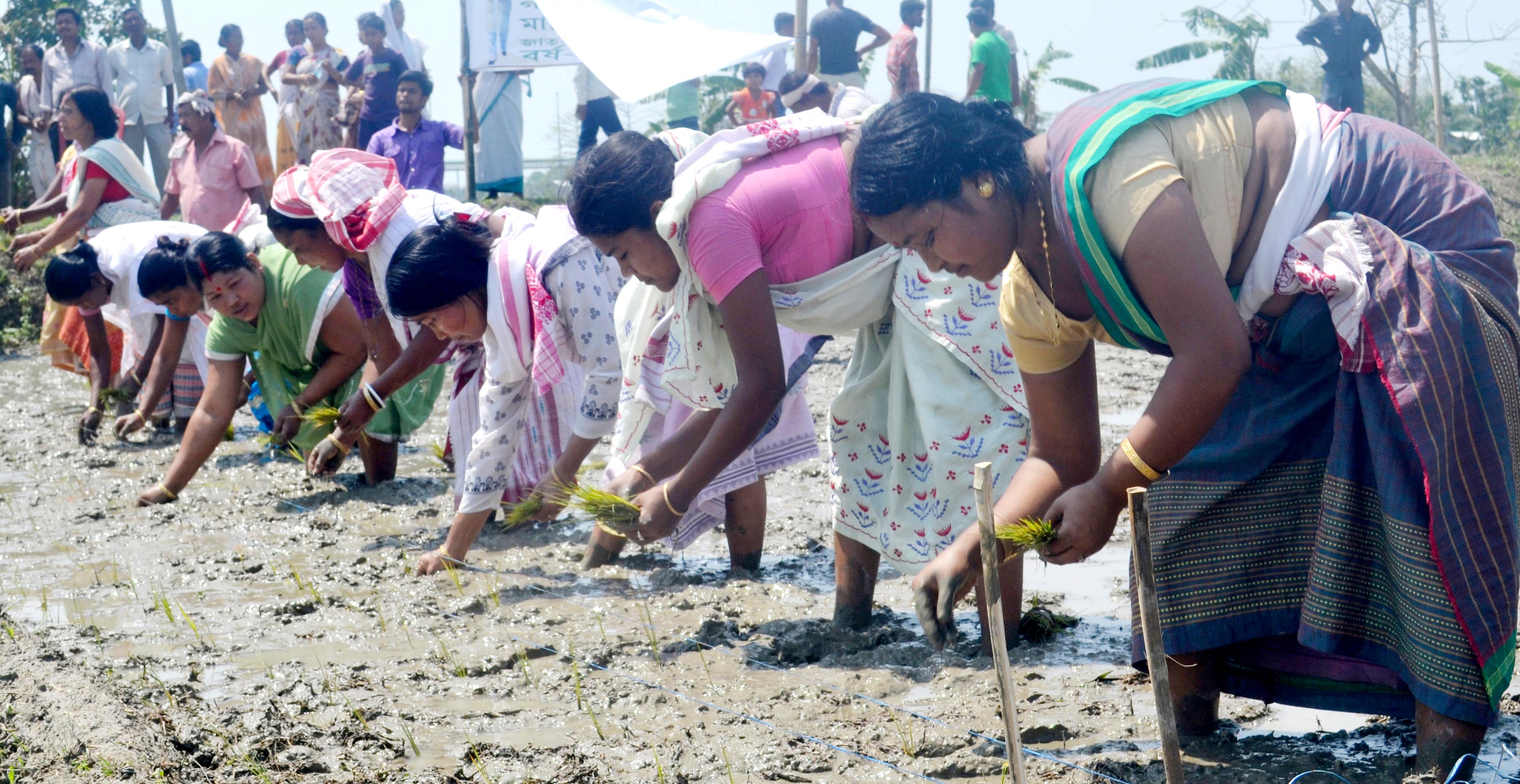New agriculture scheme