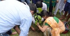 World Environment Day observed at Pobitora