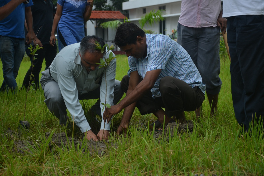 Tezpur university celebrates world environment day