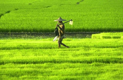 Farm mechanization for better agriculture