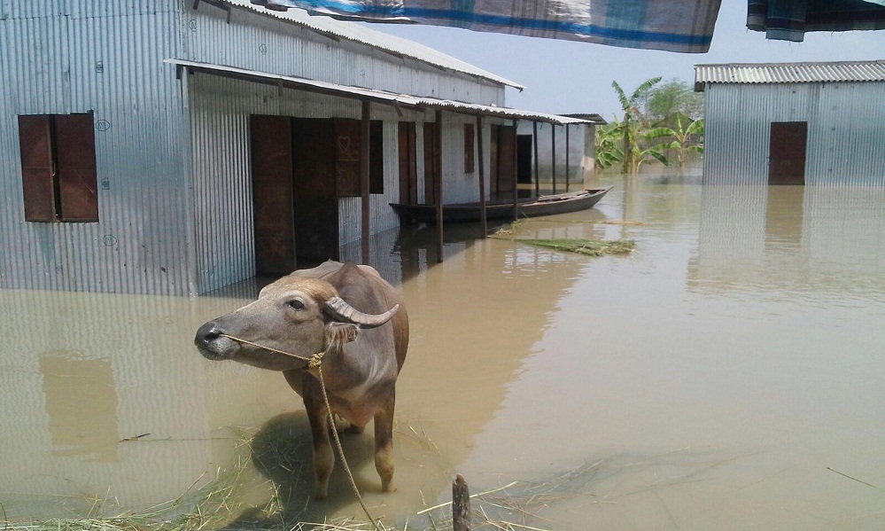 Marginal let-up in flood situation 