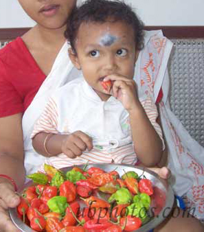Assam Toddler likes Bhut Jolokia