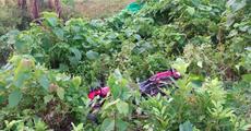 Stolen bike recovered in Raha