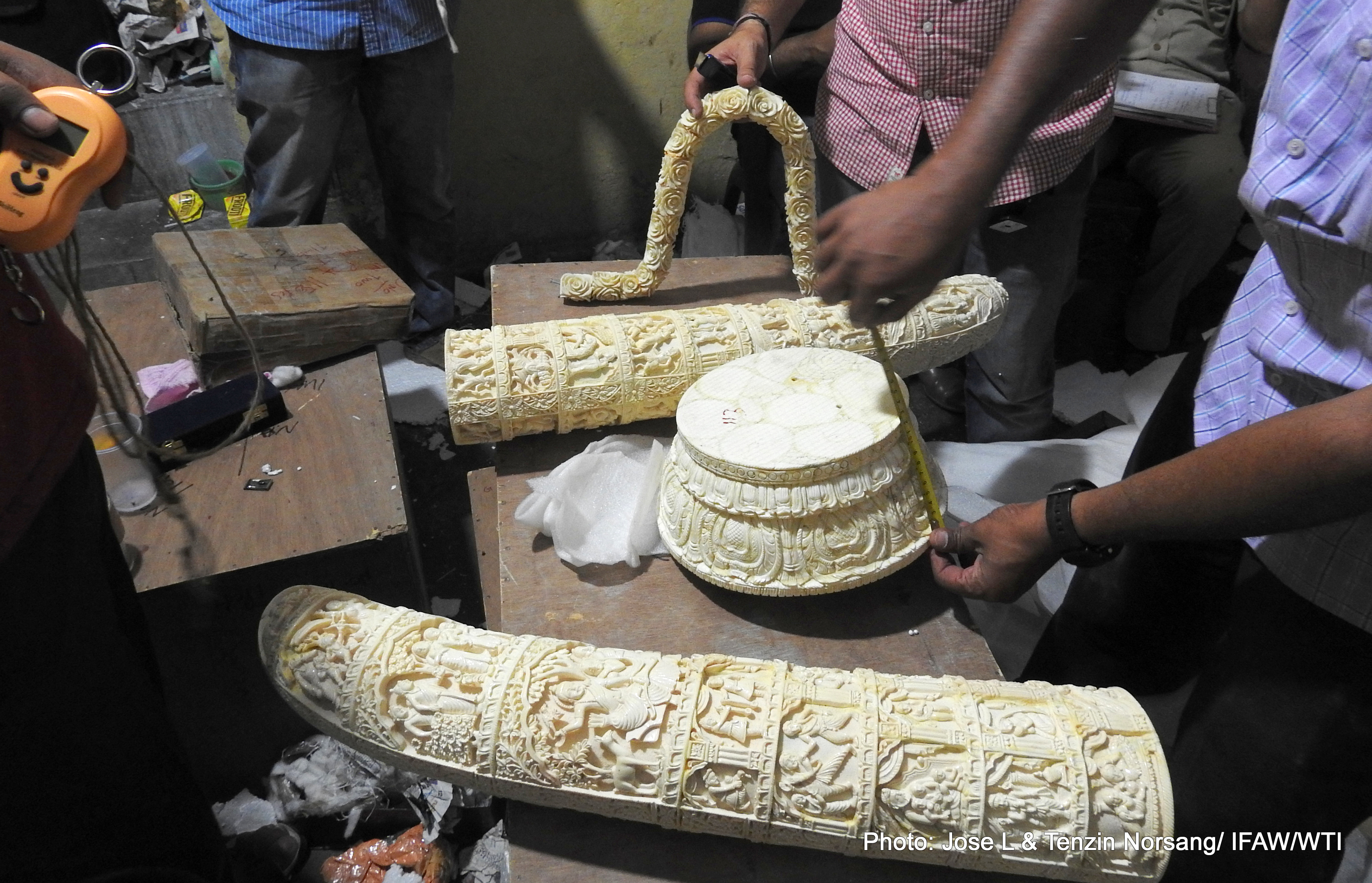 487 kg ivory seized in Delhi