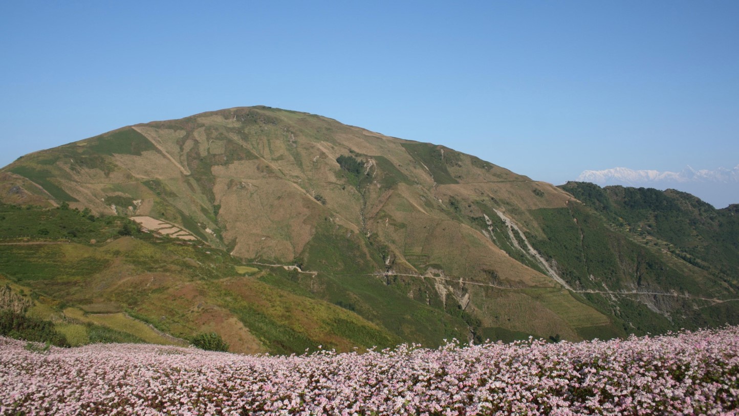 Improving food security in mountain