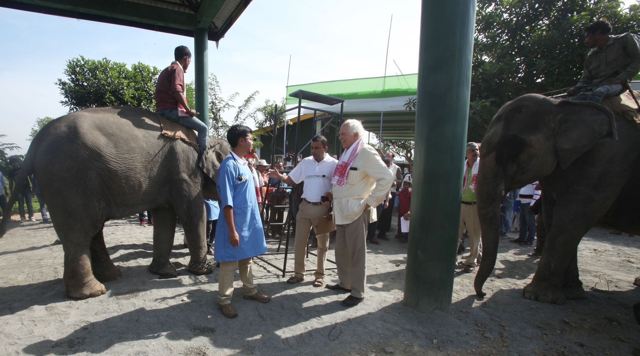 Clinic for captive elephants