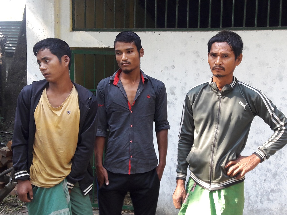 Timber smugglers arrested