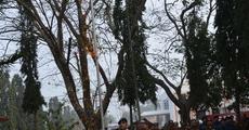 R-Day observed by BSF personnel