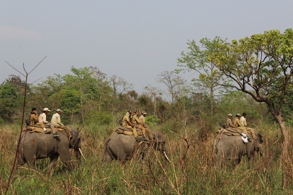 Training for Manas National Park staff