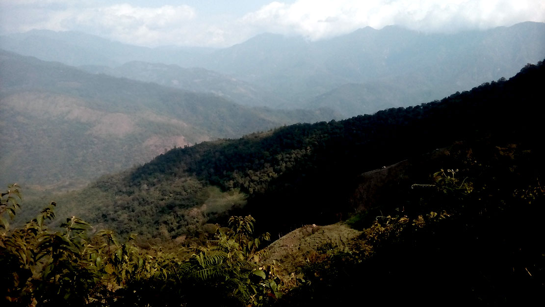 Government's insensitivity towards climate change criticised