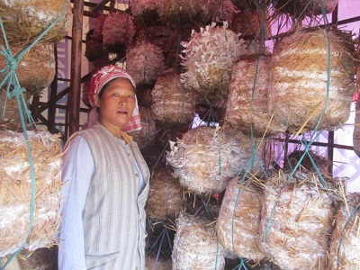 Workshop on mushroom from Apr 19