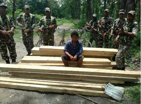Timber smuggler nabbed