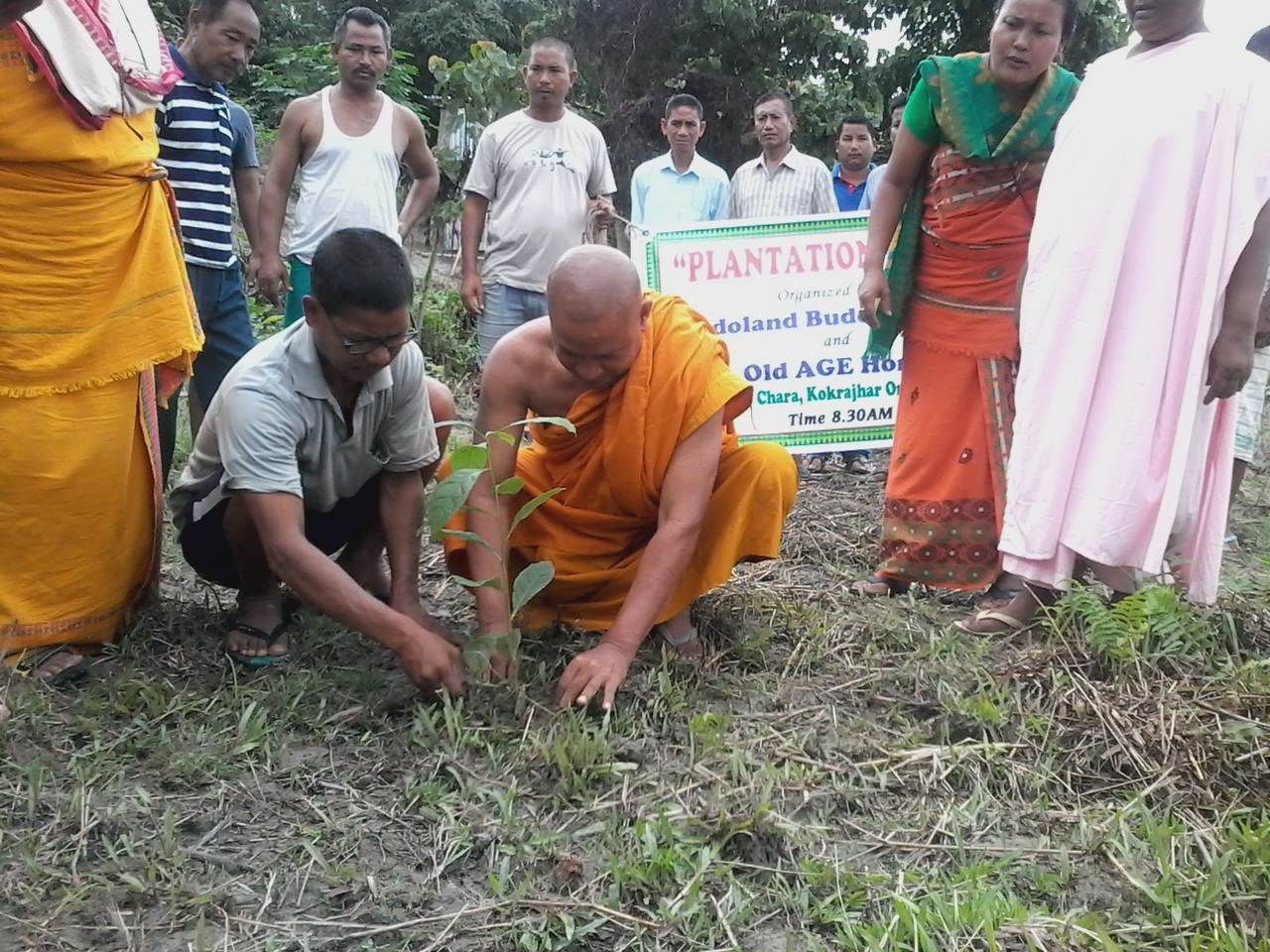 Plantation drive at Bodoland Buddhist Park
