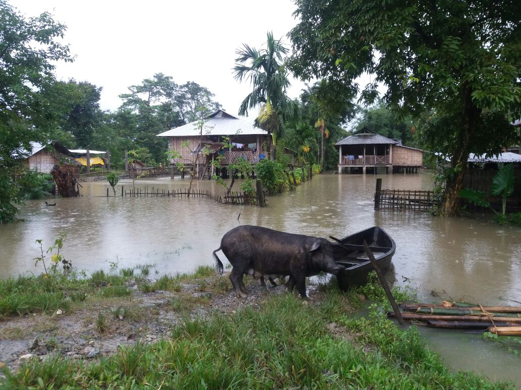 Rain woes in Arunachal Pradesh
