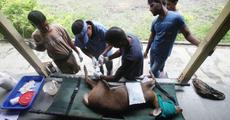 Woes of waters for wild animals