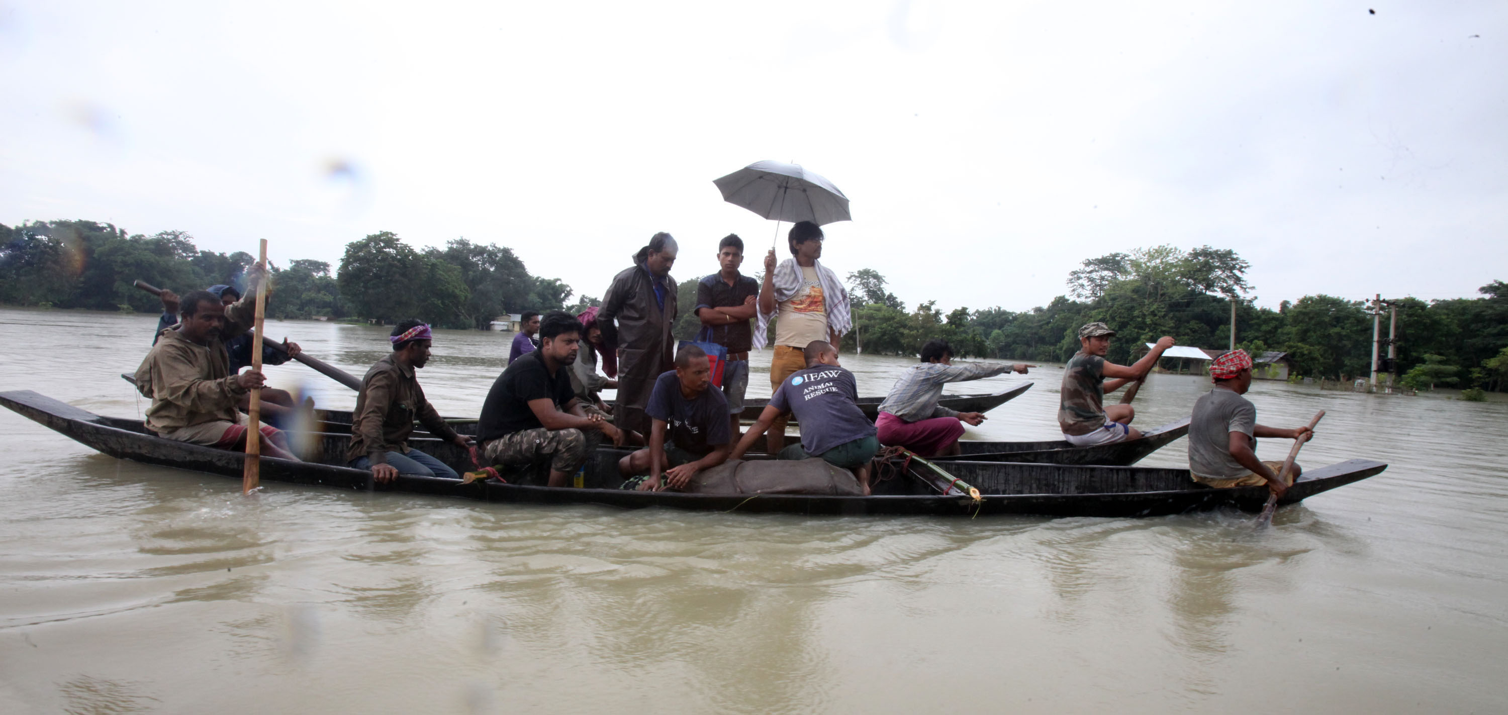 107 Wild rescue cases in Kaziranga Flood