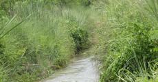 Kaziranga WLS to award JFMC, Bhairabkunda 