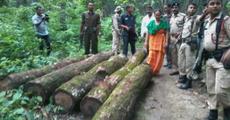 Pramila blames forrest officials for forest destruction