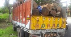 Sal logs seized in Kokrajhar