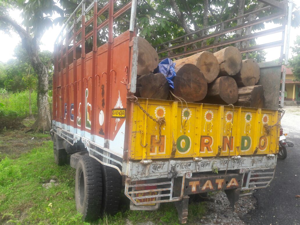 Sal logs seized in Kokrajhar