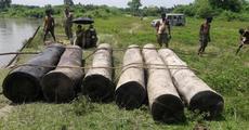 Sal logs seized