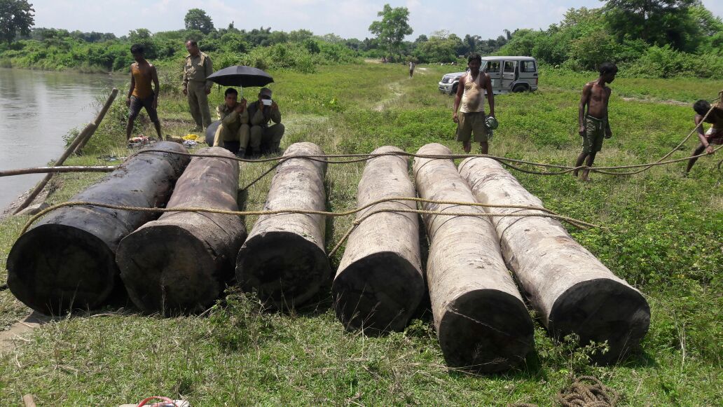 Sal logs seized