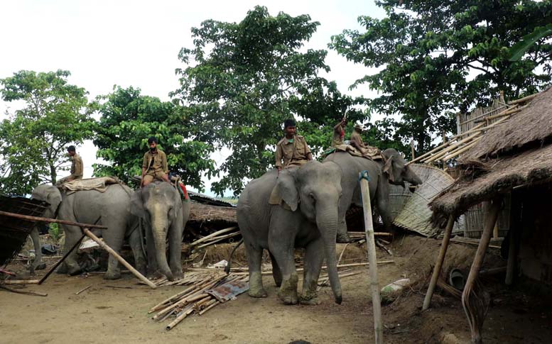 2 killed in Kaziranga firing