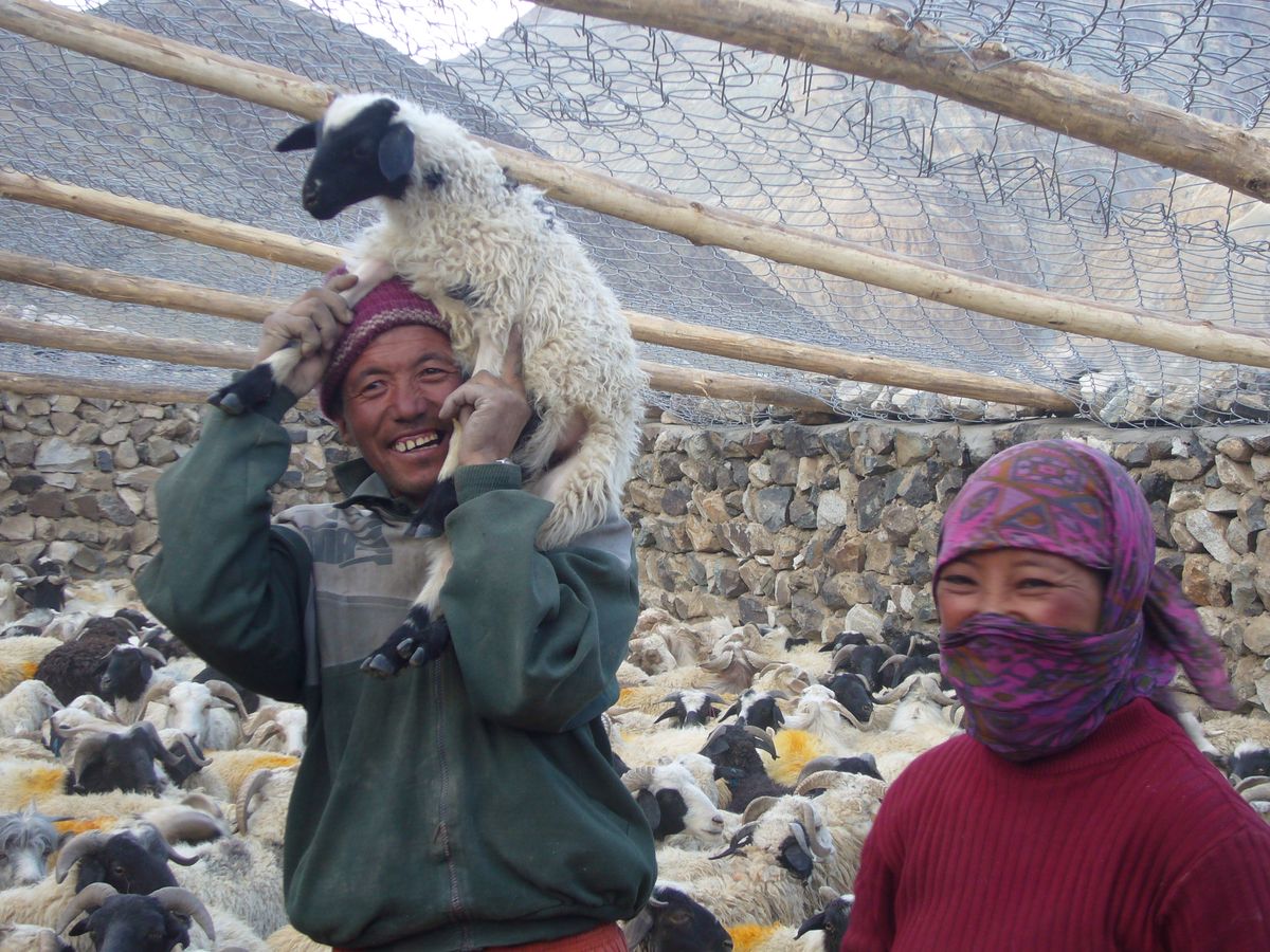 Snow Leopards Find Allies in Ladakh Villages Through Community-Led Conservation