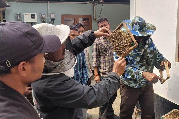 Manas communities turn to scientific beekeeping for sustainable livelihoods