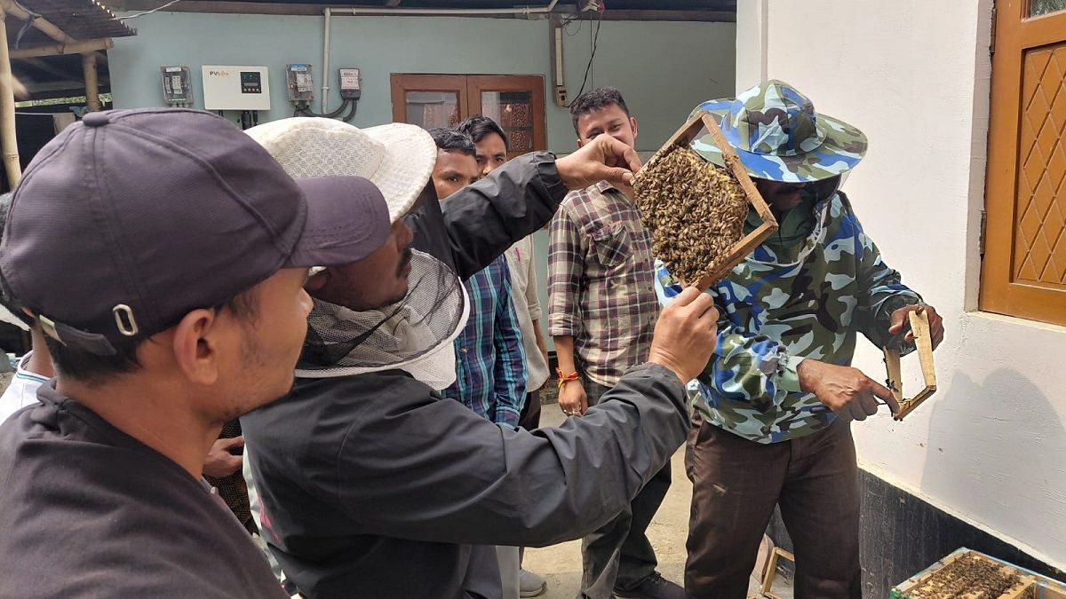 Manas communities turn to scientific beekeeping for sustainable livelihoods