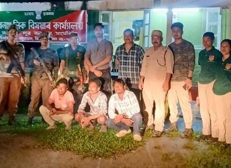 Three held for killing protected hornbill in Tinsukia